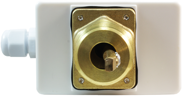 ДР-П-02 - Датчик-реле потока лепестковый 