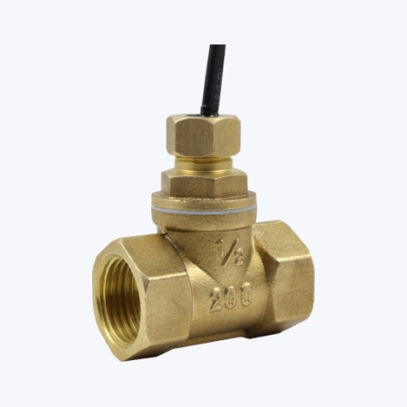 ДР-ПП-01-25 - Датчик-реле потока поршневой 